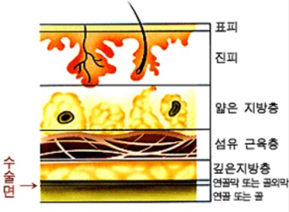 36e51dc4ad4231e509044711567076fa_1785330414_3199.jpg 36e51dc4ad4231e509044711567076fa_1785330414_3199.jpg