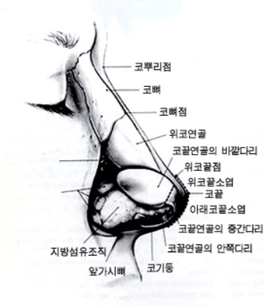 d4119bb5136c07fda26af5ffe238cd3b_1787664318_8452.jpg