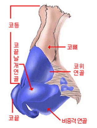 8d60cc073f4460dc5d572c1d0dc471fb_1789993521_979.jpg