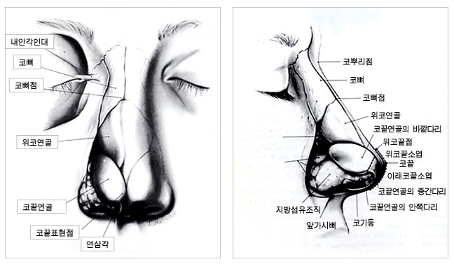 ab25b6bfb2380a87d7e87814557797c1_1789475059_2973.jpg ab25b6bfb2380a87d7e87814557797c1_1789475059_2973.jpg